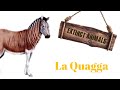 La Quagga|Extinto por el hombre