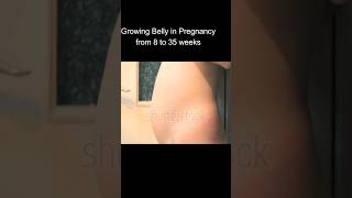 Growing belly in pregnancy from 8week to 35 week|changes in body during pregnancy