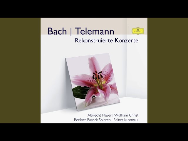 Bach - Concerto pour violon & cordes n° 2 : Finale : F.-P.Zimmermann / Berliner Barock Solisten