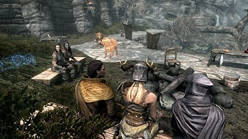 Multiple Followers System