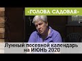 Голова садовая - Лунный посевной календарь на ИЮНЬ 2020