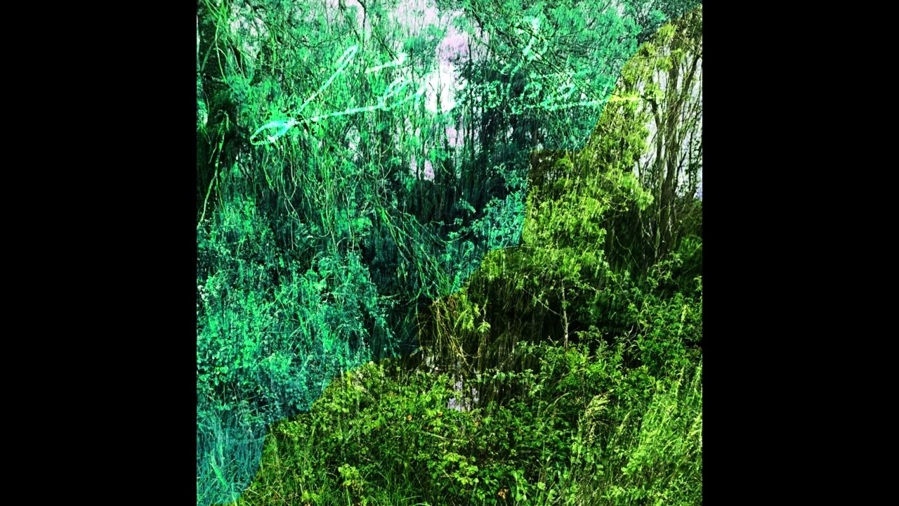 Eliante — L'envolée