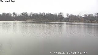 Paw Paw Lake Fan Live Stream