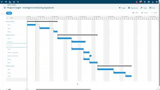 How to use the Gantt Chart in Project Insight
