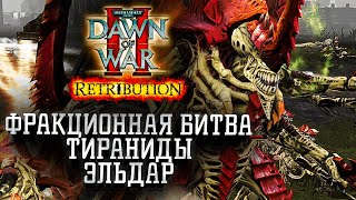 :  :     Dawn of War 2