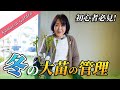 【バラの大苗】冬に購入した大苗の管理方法について解説します