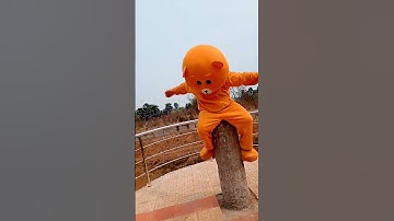 Teddy Dance Public place #teddy #dance #public #please #lipu
