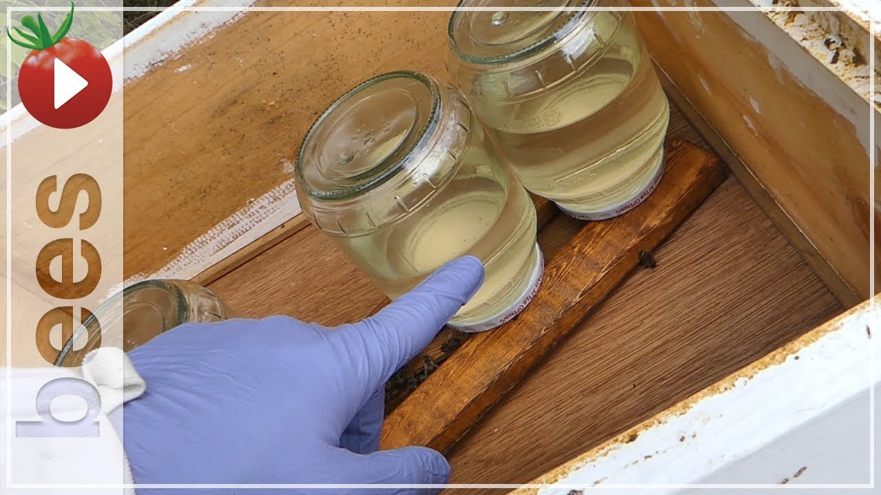 Easy Bee Feeder How Much Did They Eat In 5 Days Youtube