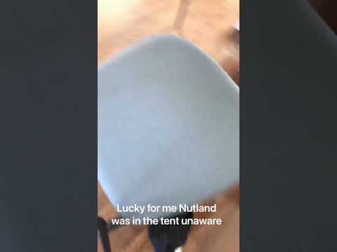 Intruder Alert!