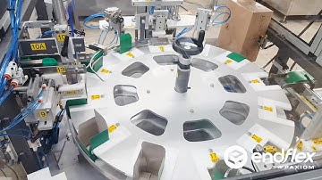 Carton Load & Labeling System