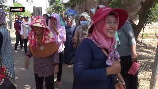 ANDI PUTRA 2 RONG PULUH EWU VOC UCIDS SUMBER WETAN KEC JATITUJUH