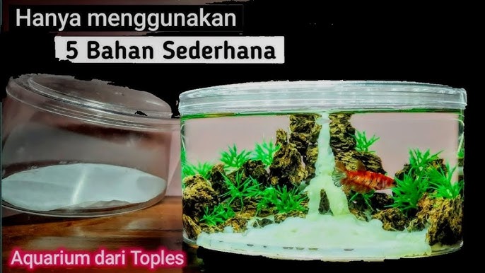 Cara Membuat Aquarium Dari Barang Bekas Untuk Ikan Cupang Youtube