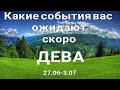 ДЕВА. Что вас ожидает на следующей недели. Таро прогноз.