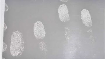 Vacuum Metal Deposition (VMD) Gold/Zinc Latent Prints