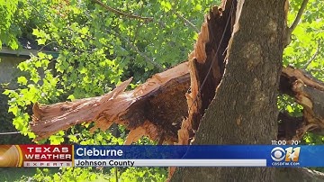 Downed Trees & Other Damage After Late Night Storms