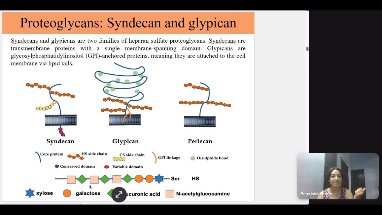 Protein–Macromolecule Interactions | Week 10 | NPTEL 2025 | Fundamental of Protein Chemistry