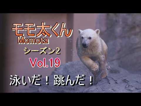 モモちゃん❗️リリパット53☆BEAR NECESSITIES kanchan - YouTube