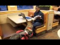 Brovonabar von Alpenmac Service Dog Training Retrieving Phone and Meds Brovonabar von Alpenmac Service Dog Training Retrieving Phone and Meds