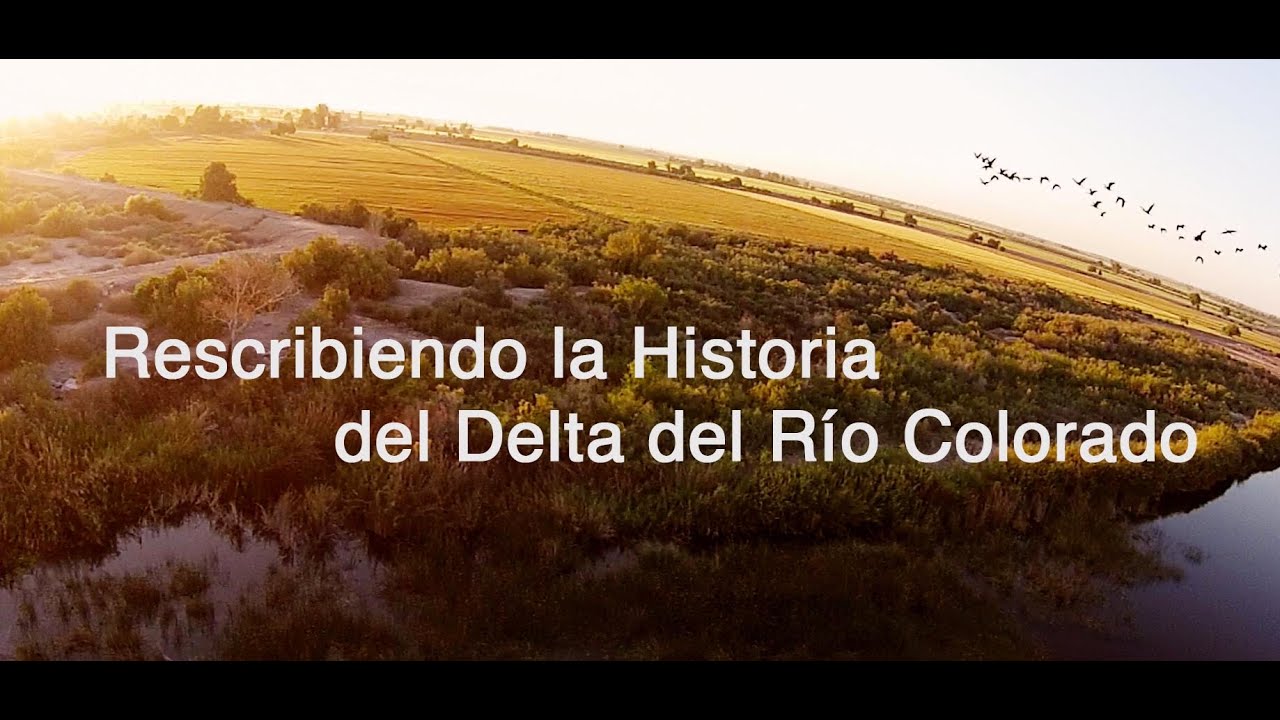 Documental Reescribiendo la Historia del Delta del Río Colorado YouTube Documental Reescribiendo la Historia del Delta del Río Colorado YouTube