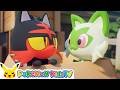 Purrfect Box | Pokémon Fun Video | Pokémon Kids TV​