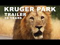 TRAILER - KRUGER NATIONAL PARK over 10 years. Amazing Wildlife from the Kruger in South Africa