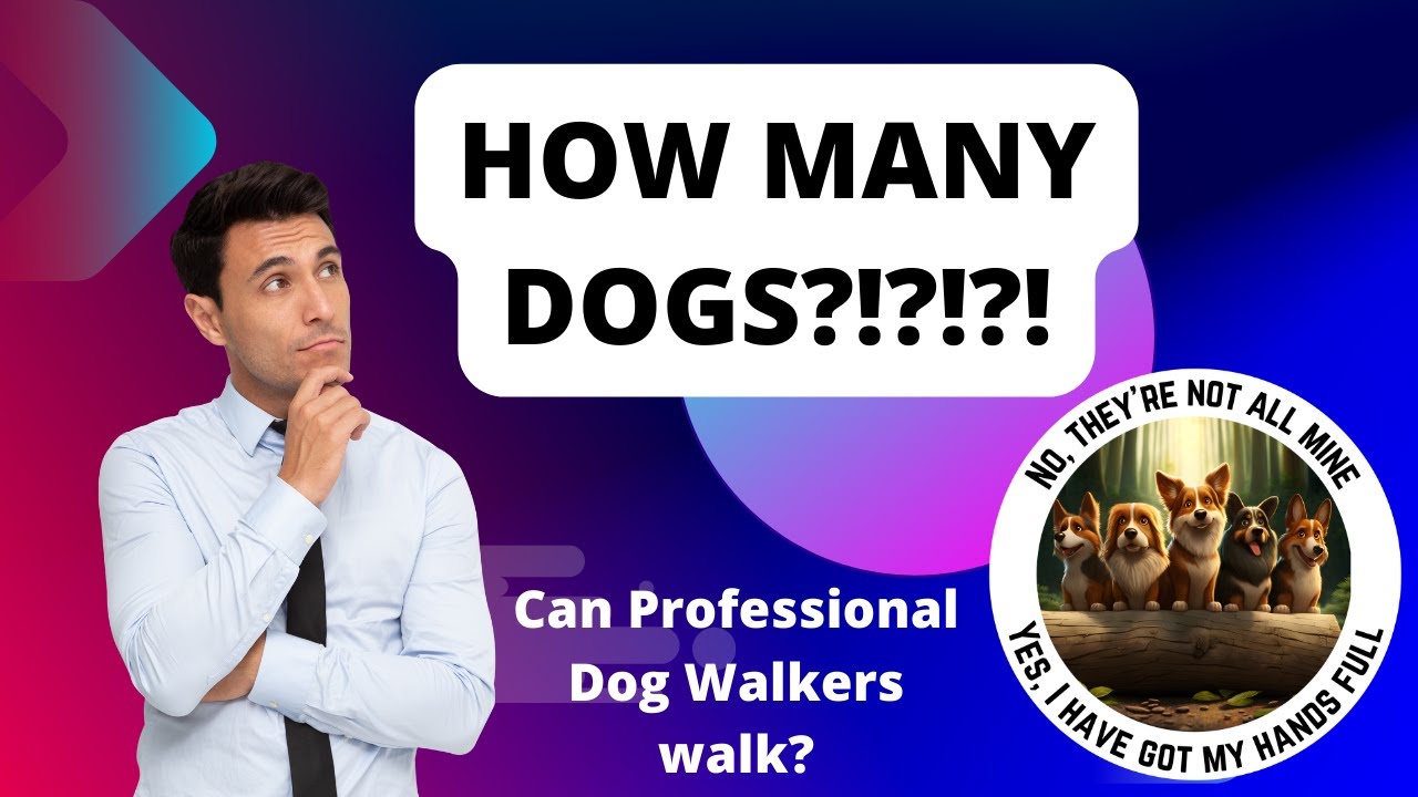 how-many-dogs-can-i-walk-at-once-as-a-pro-dog-walker-in-the-uk-youtube
