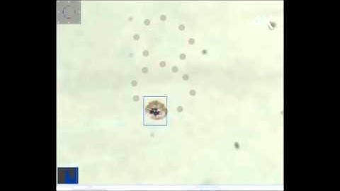 Microrobot steered by magnetic manipulation