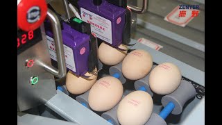 ZENYER 402H egg printer (2 print head)