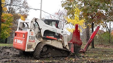 How to Transplant a Tree with a Tree Spade