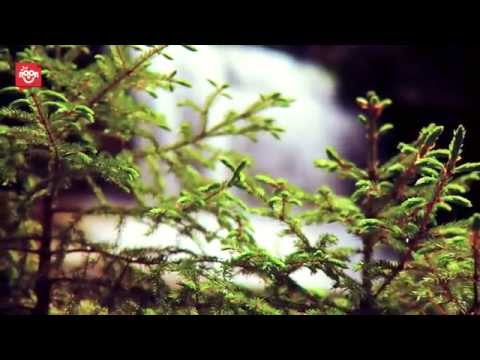 Yousef Arafat يوسف عرفات رحماك 2014 