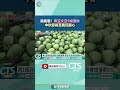 農業損失與民生影響