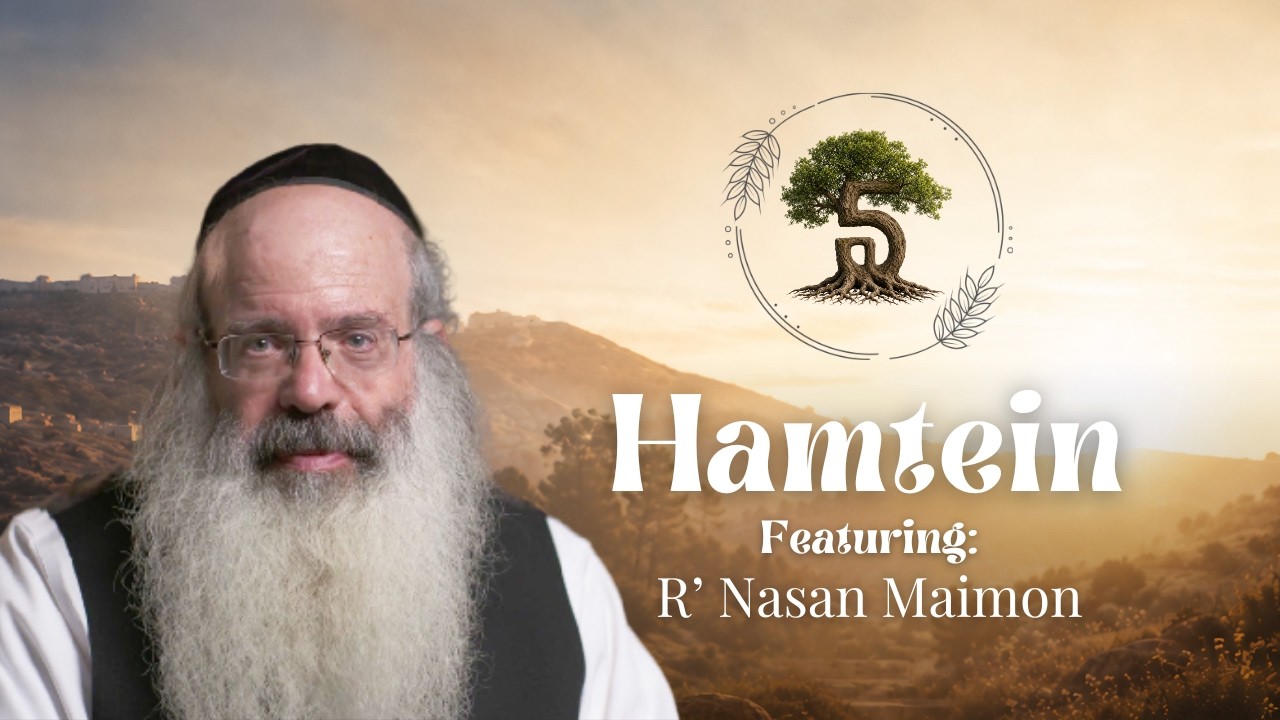 Hamtein - Nasan Maimon