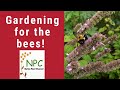 Pollinator gardens gardening for the bees