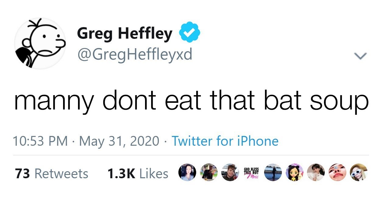 CURSED DIARY OF A WIMPY KID PARODY TWEETS #2