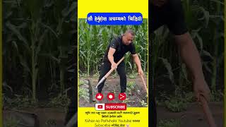 kisankopathsala agriculture localkukhurapalan viral