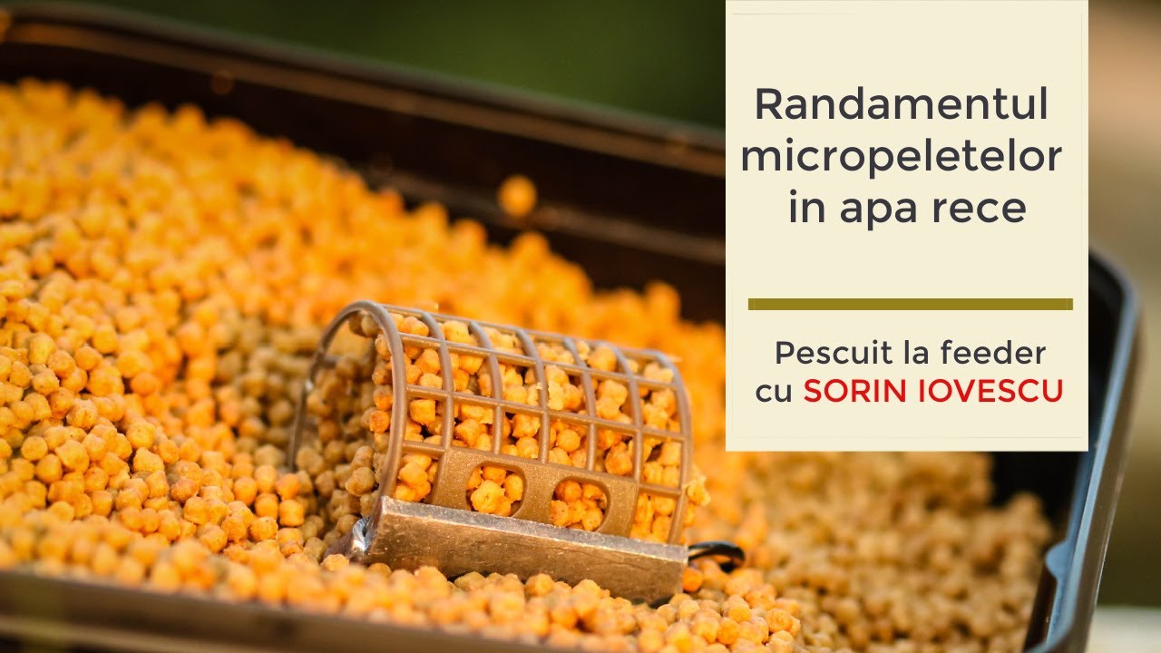 Randamentul micropeletelor în apă rece