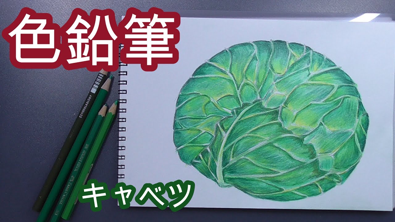 色鉛筆 キャベツ - YouTube