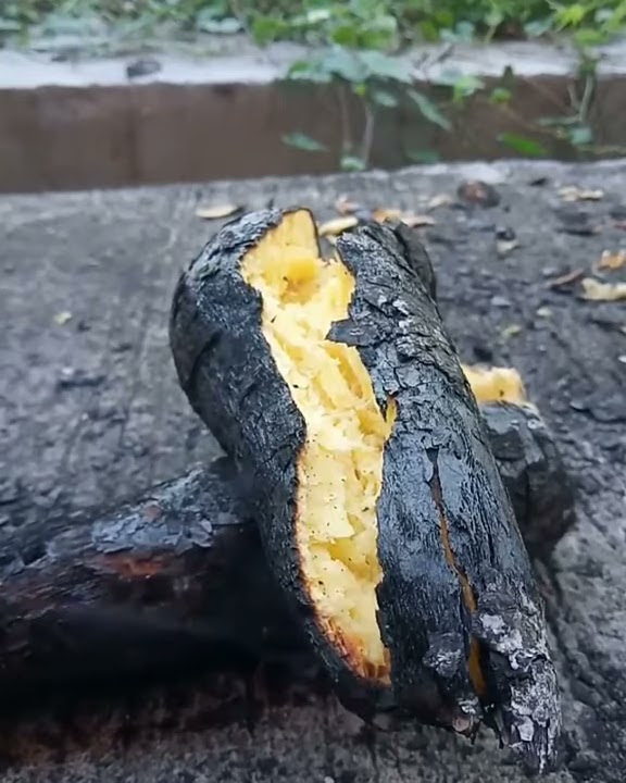 kenikmatan tabu