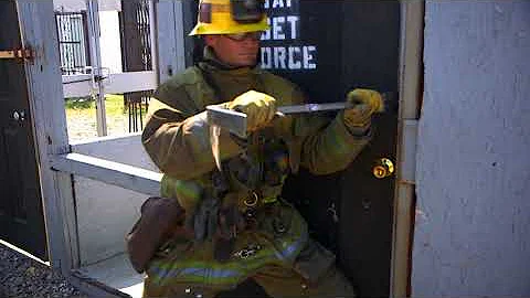 Forcible Entry: Inward Swinging Metal Doors