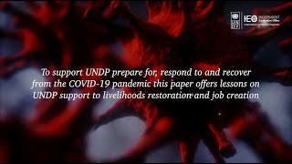 Responding to COVID-19: Evaluation lessons from UNDP support to livelihoods restoration