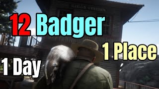 Bagging a Dozen Badger in One Spot in One Day : Red Dead Redemption 2