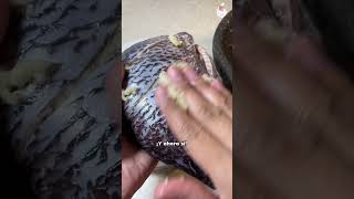 Crispy Fried Mojarra recipes recipe lent holyweek mojarras