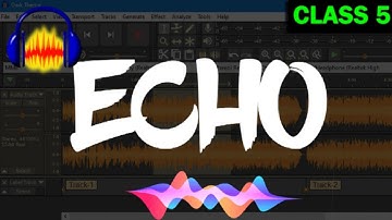 Audacity echo | Audacity echo effect hindi | Audacity echo removal | Audacity echo settings