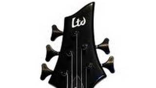 why a 5 string bass follow up more questions answered
