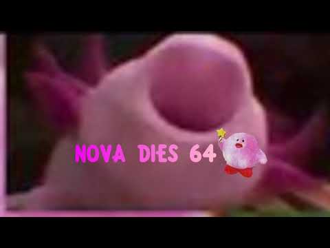 nova-dies-64-with-meme