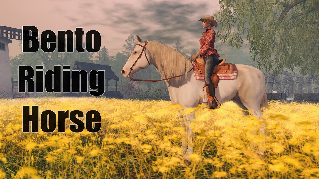 Bento Riding Horse By Water Horse Strawberrysingh Com