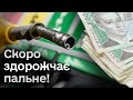 ⛽ Зовсім скоро ціни на АЗС поповзуть угору! А що буде з гривнею та економікою? | Василь Фурман