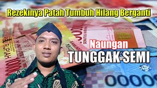 Weton Naungan Tunggak Semi  Rezekinya Patah Tumbuh Hilang Berganti