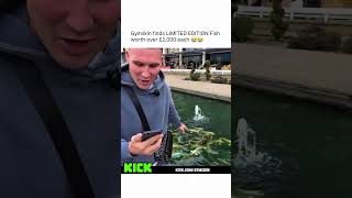 Gymskin Cant Believe He Just Found These Limited Edition Fish