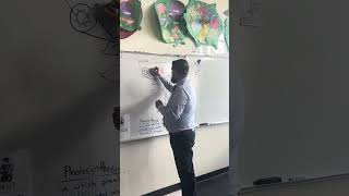 Teaching Plant Model